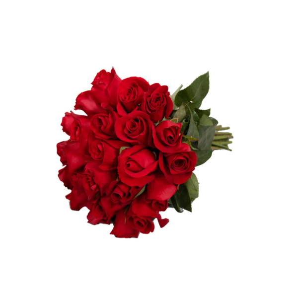 RED ROSES - Image 2