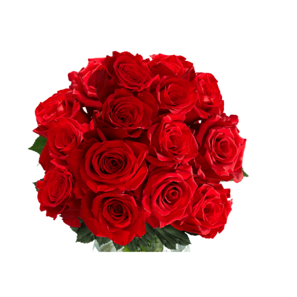 RED ROSES - Image 3