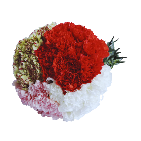 ASSORTED CARNATIONS - Image 3