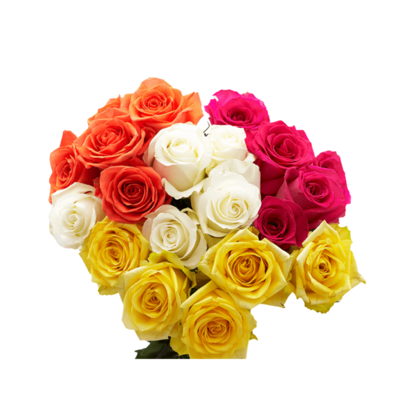 ASSORTED ROSES - Image 2