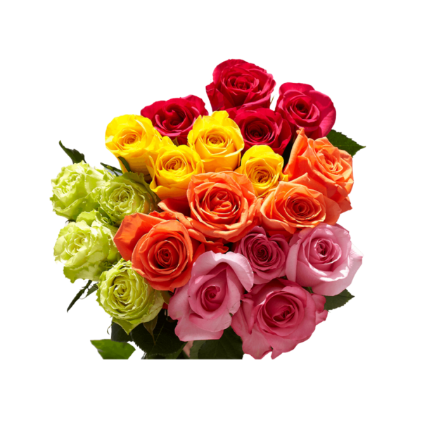 ASSORTED ROSES - Image 3