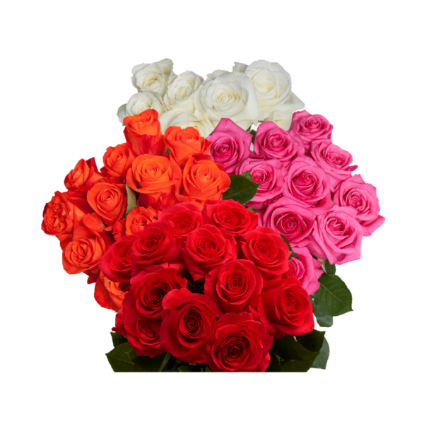 ASSORTED ROSES - Image 4