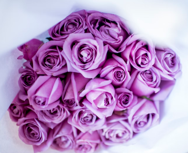 PURPLE ROSES - Image 4