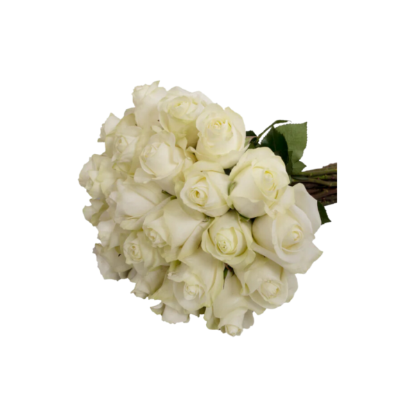 WHITE ROSES - Image 2