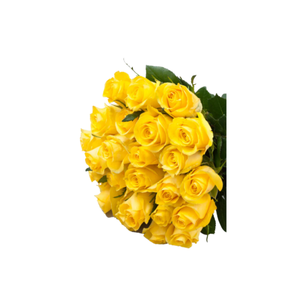 YELLOW ROSES - Image 2