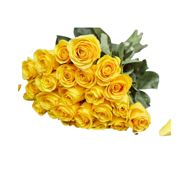 YELLOW ROSES - Image 3