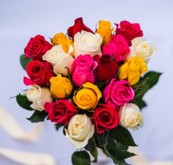 MIX ROSES RAINBOW