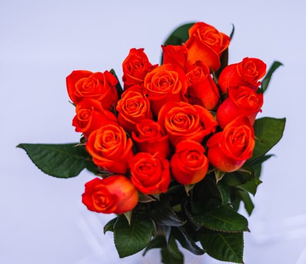 ROSES ORANGE