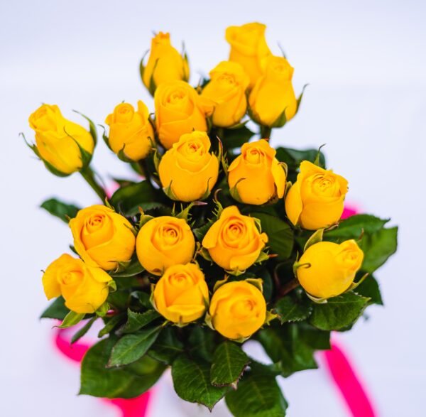 ROSES YELLOW